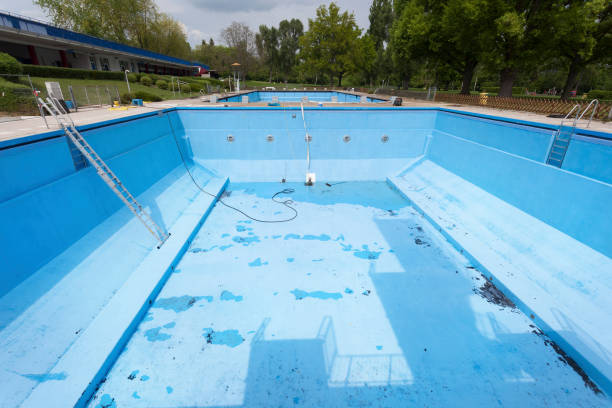 Best Local water damage restoration  in Roundup, MT