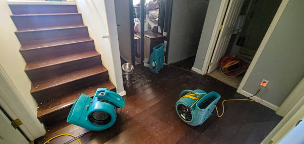 Best Water damage restoration near me  in Roundup, MT
