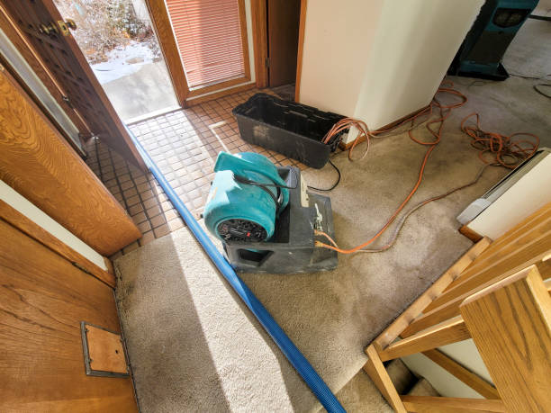 Best Carpet water damage restoration  in Roundup, MT