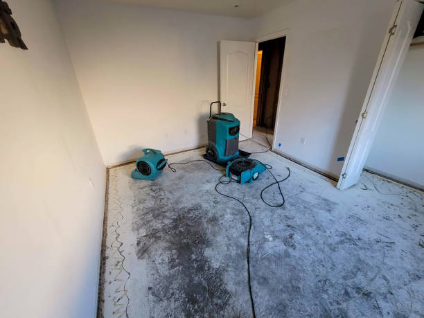 Best Water damage restoration near me  in Roundup, MT