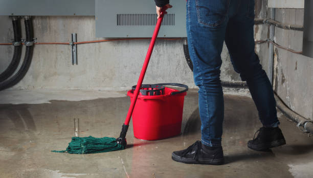 Best Flood restoration services  in Roundup, MT