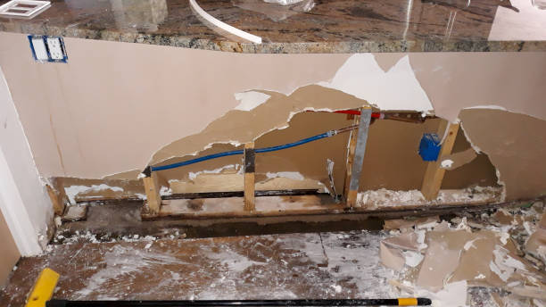 Best Sewage cleanup and water damage restoration  in Roundup, MT