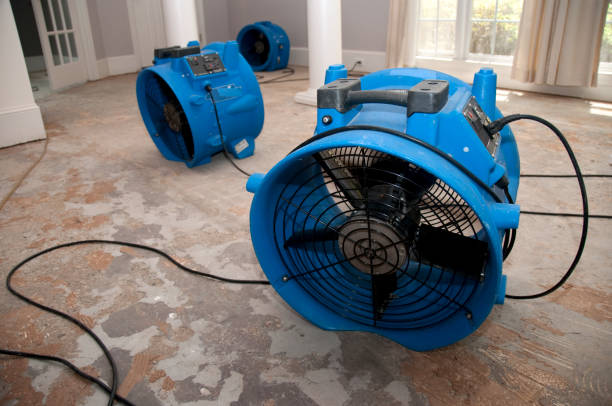 Best Water damage restoration company  in Roundup, MT