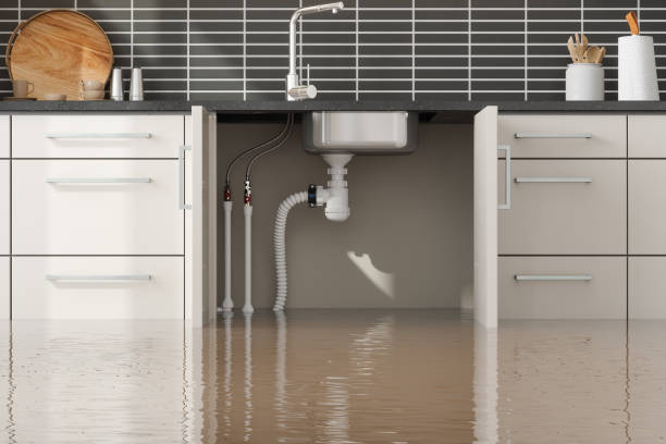 Best Emergency water damage restoration  in Roundup, MT
