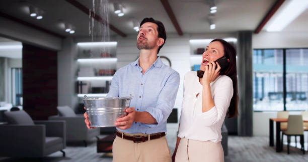Best Water damage restoration experts  in Roundup, MT